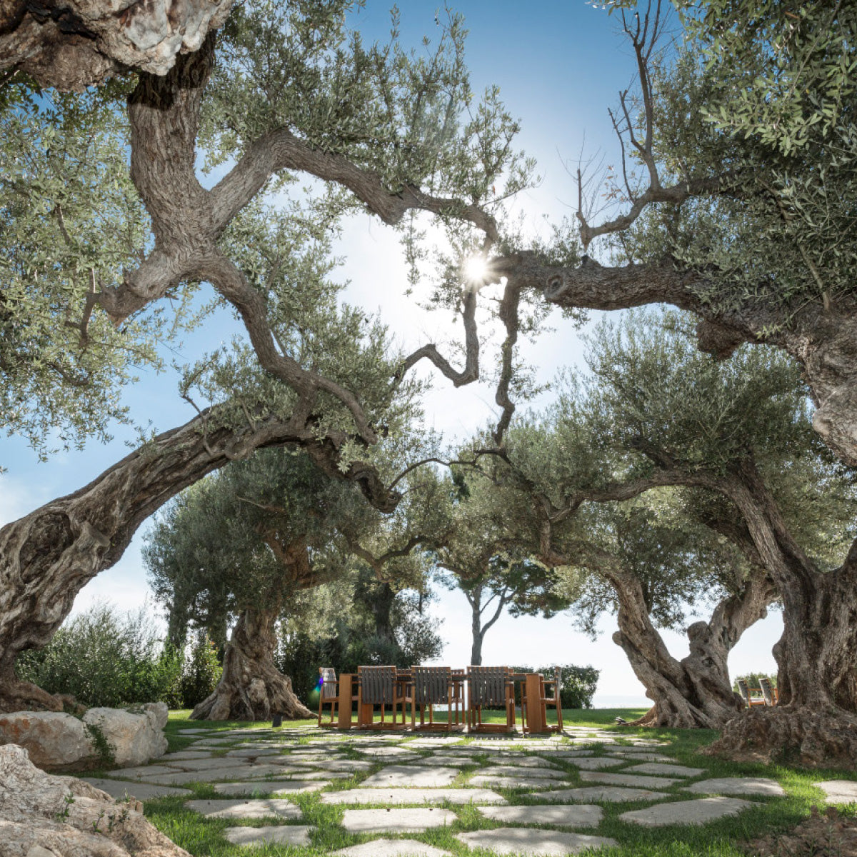 Von Jardins de Tramuntana gestalteter Sitzplatz auf Mallorca.