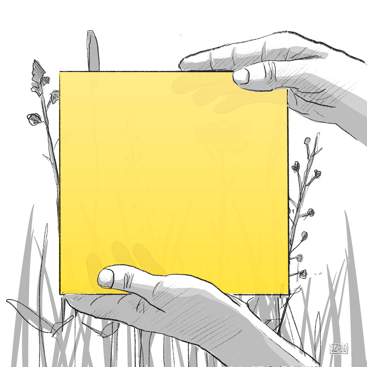 AERO FARBMUSTER (4 x 4 cm) (Pfand*)