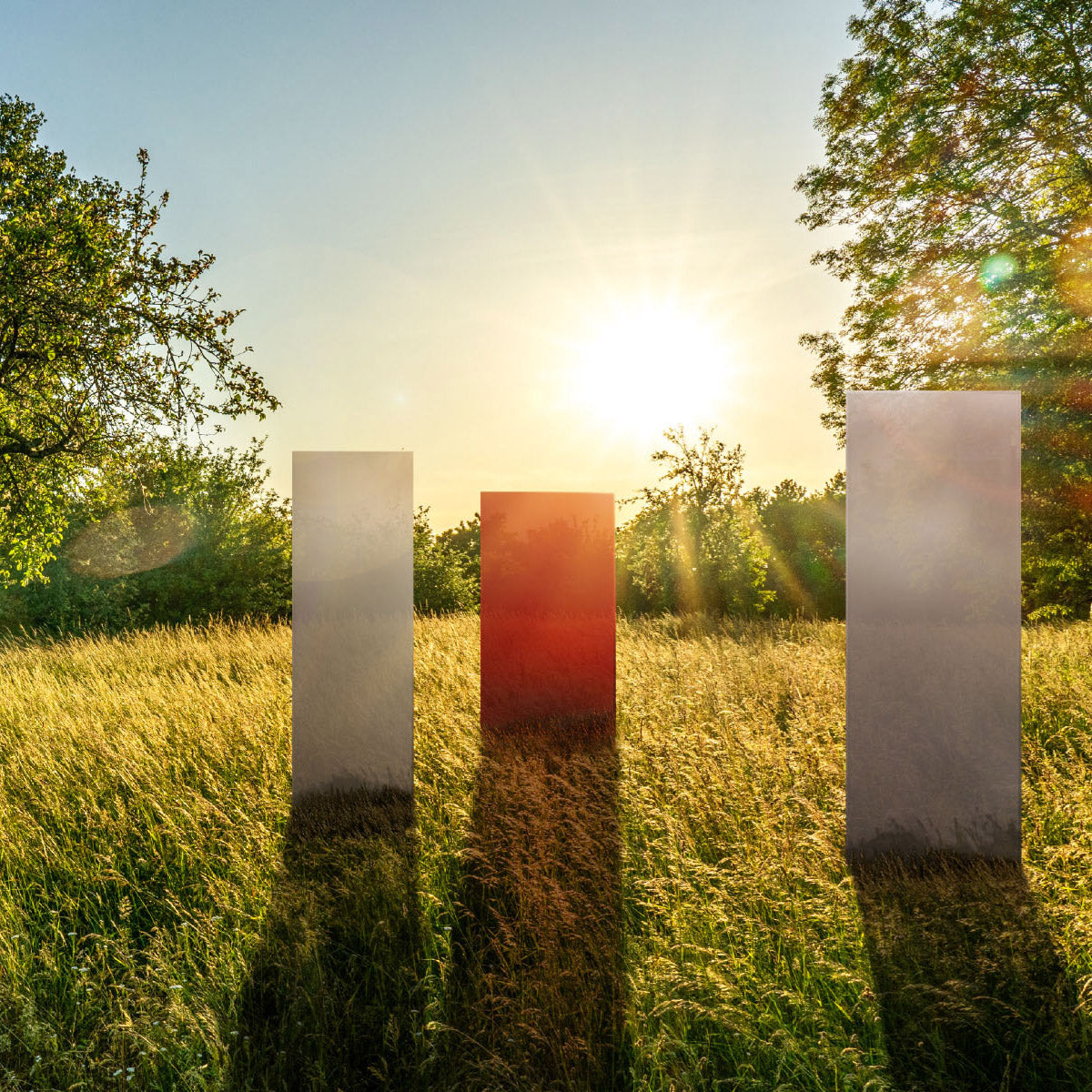 Ein rotes und zwei weiße Sichtschutzelemente der Firma KNUMOX stehen mit Licht der Abendsonne im Hintergrund auf einer Wiese.