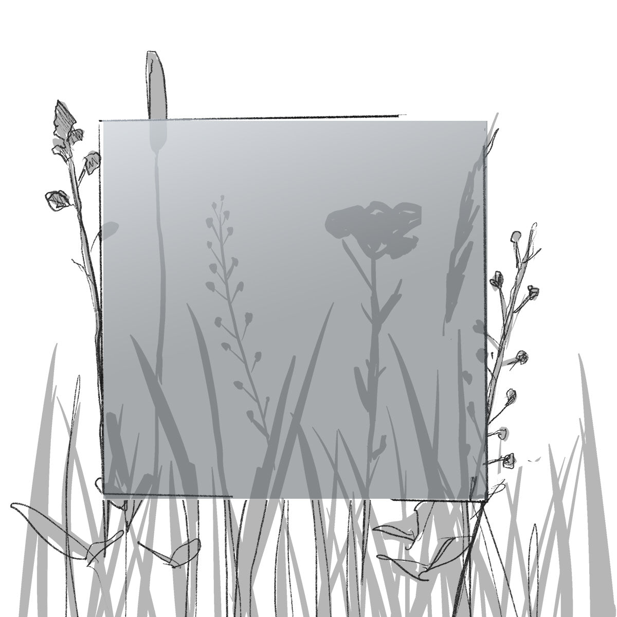 AERO FARBMUSTER (4 x 4 cm) (Pfand*)