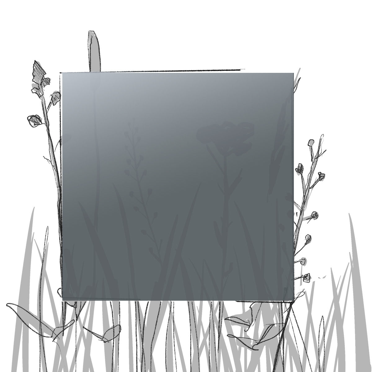 AERO FARBMUSTER (4 x 4 cm) (Pfand*)
