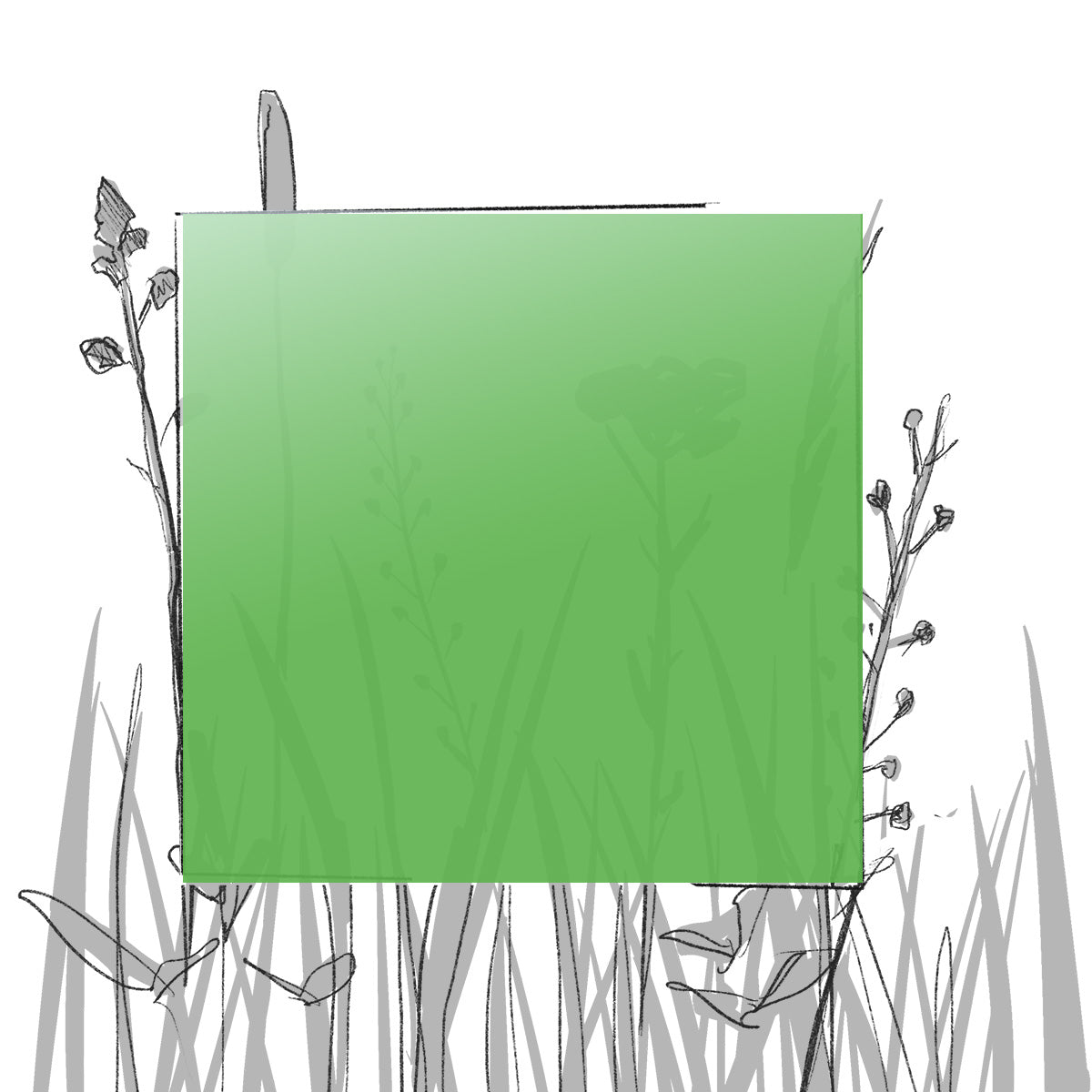 AERO FARBMUSTER (4 x 4 cm) (Pfand*)