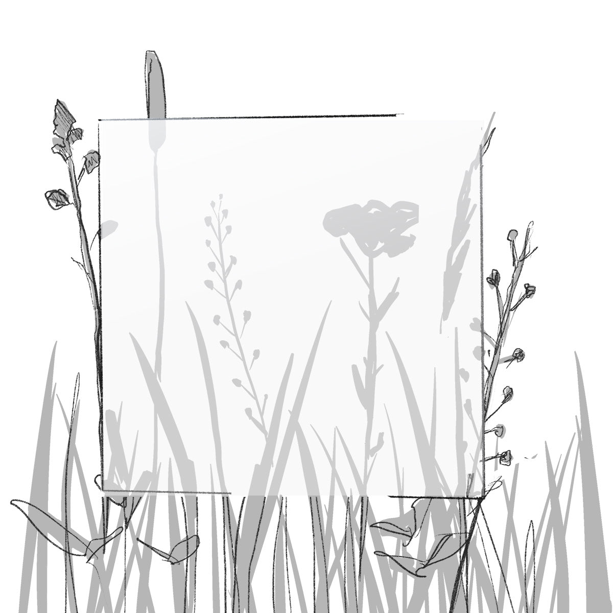 AERO FARBMUSTER (4 x 4 cm) (Pfand*)