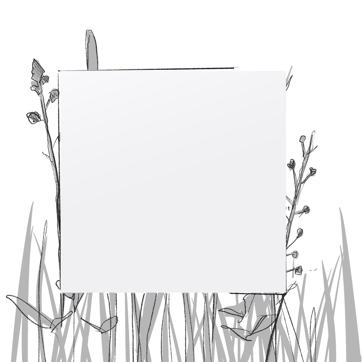 AERO FARBMUSTER (4 x 4 cm) (Pfand*)