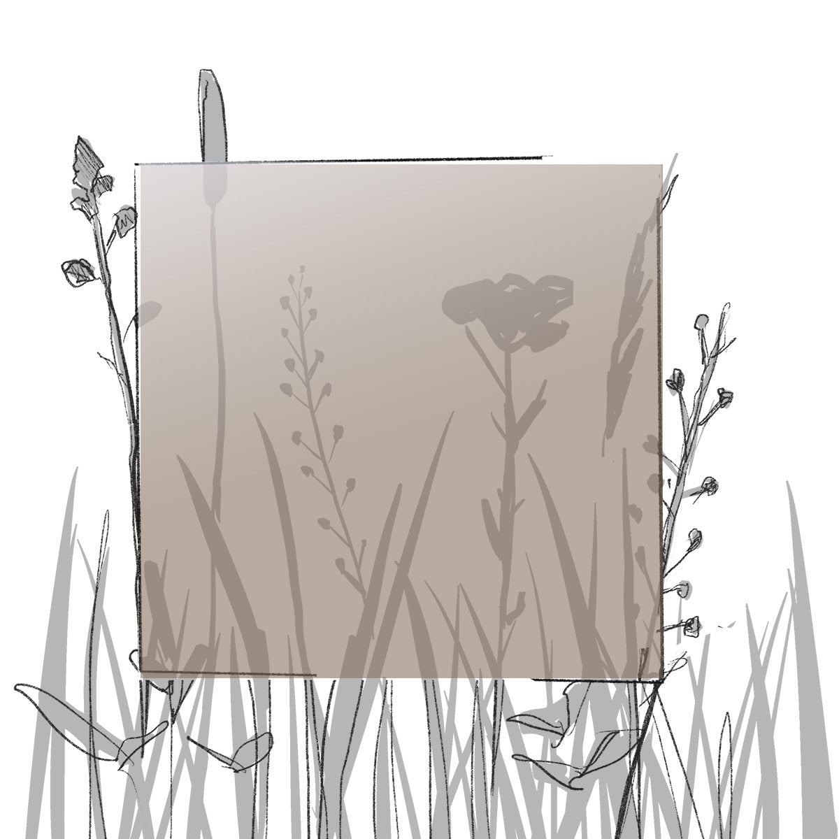 AERO FARBMUSTER (4 x 4 cm) (Pfand*)