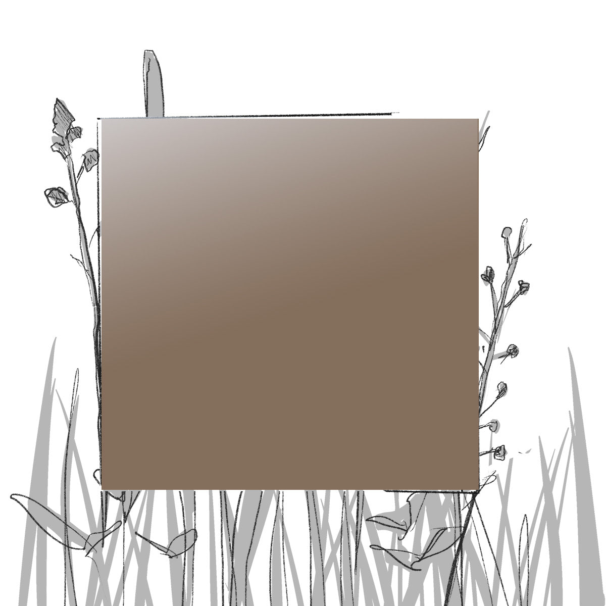 AERO FARBMUSTER (4 x 4 cm) (Pfand*)