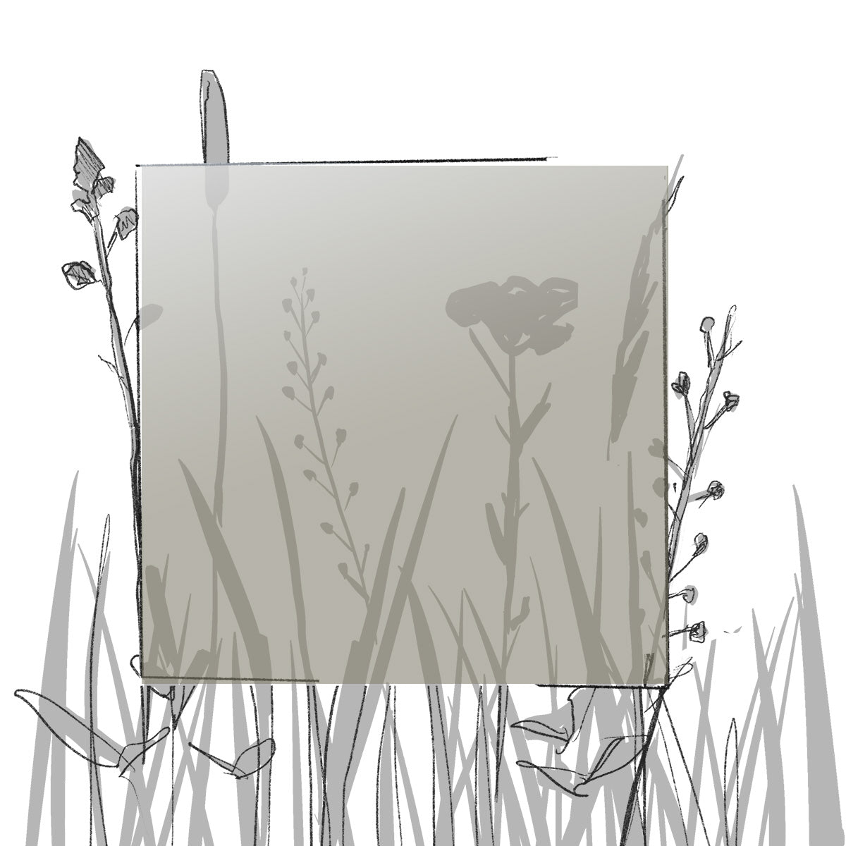 AERO FARBMUSTER (4 x 4 cm) (Pfand*)