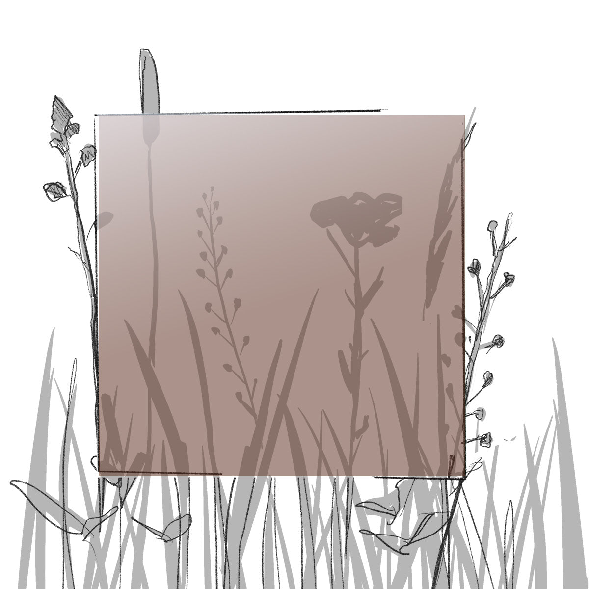 AERO FARBMUSTER (4 x 4 cm) (Pfand*)