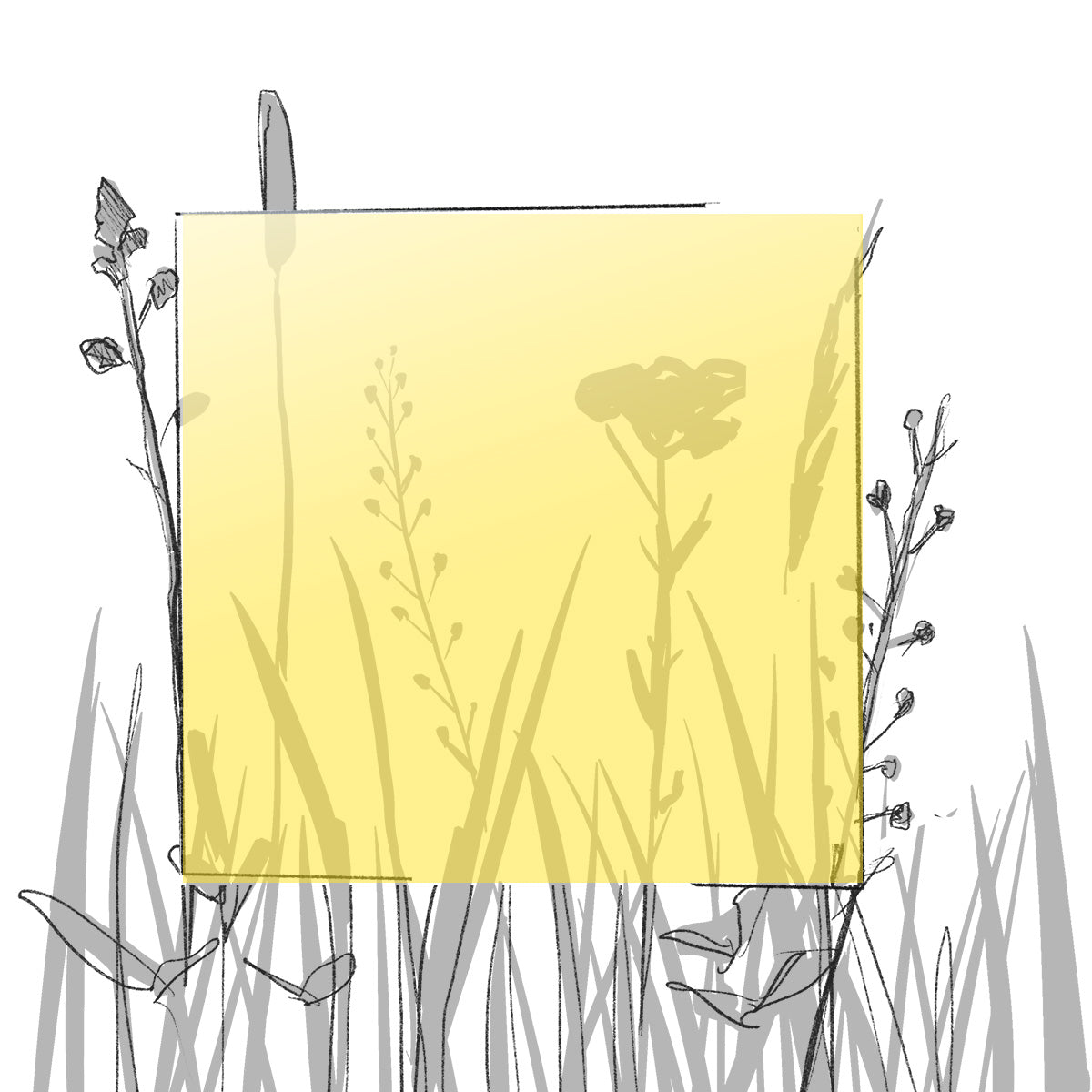 AERO FARBMUSTER (4 x 4 cm) (Pfand*)