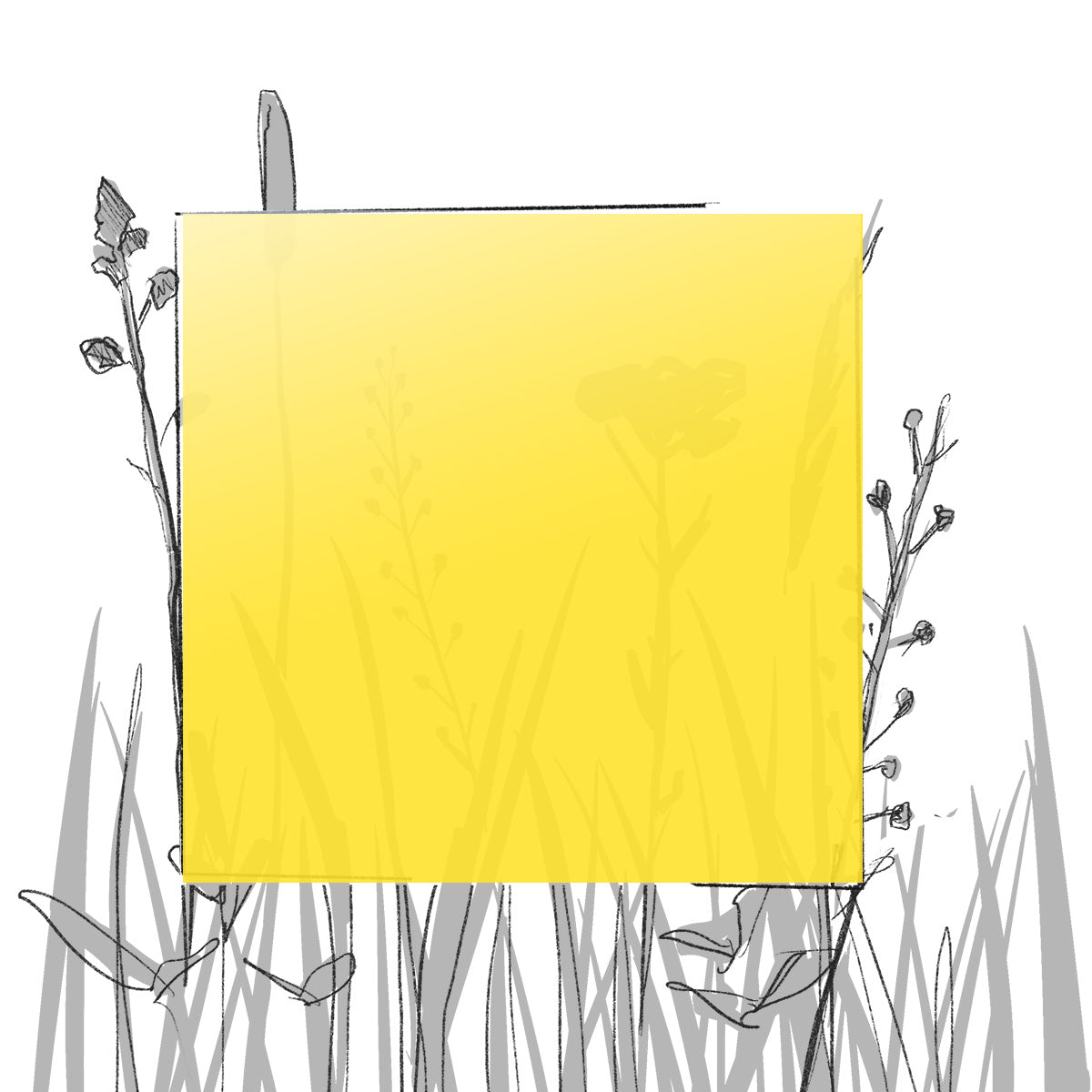 AERO FARBMUSTER (4 x 4 cm) (Pfand*)