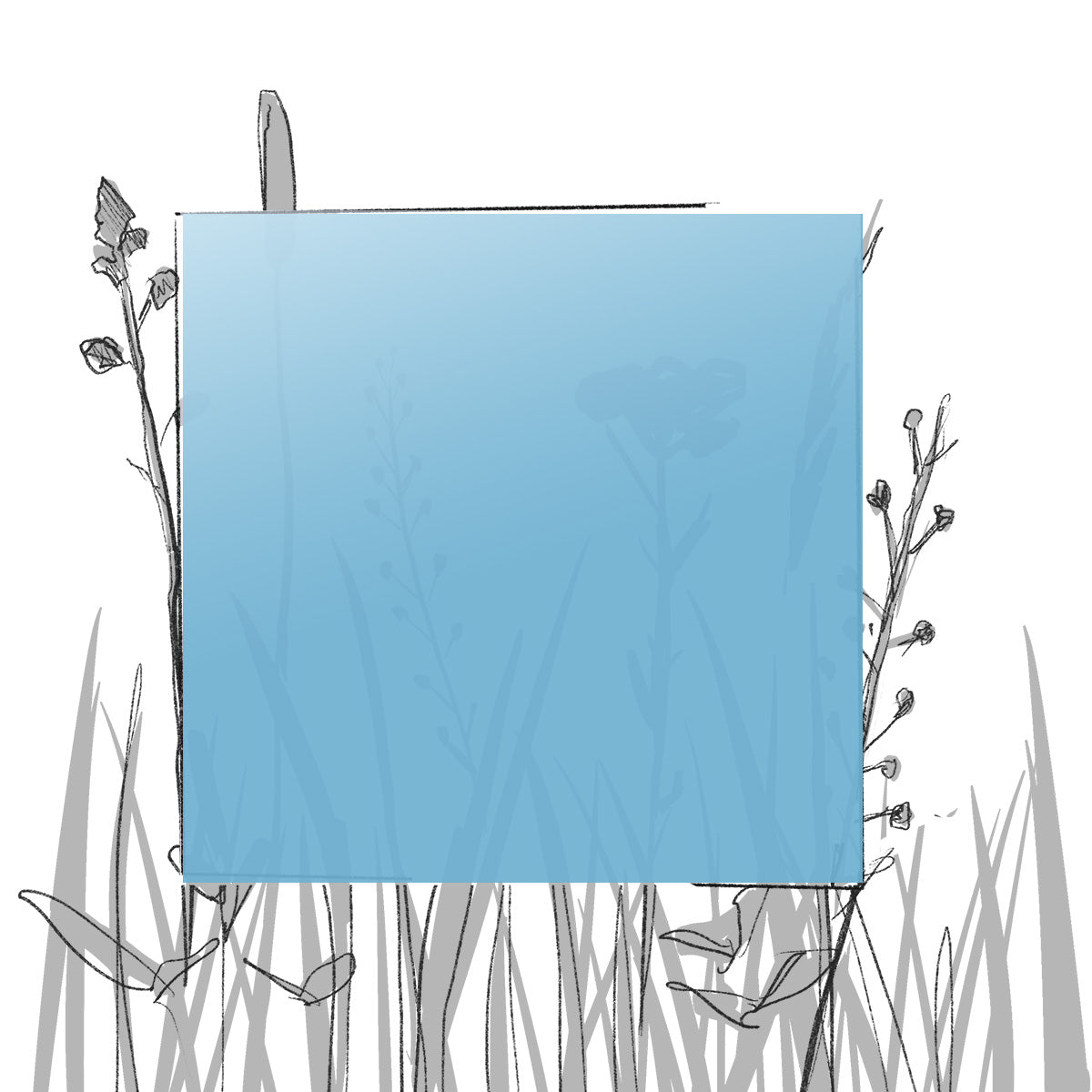 AERO FARBMUSTER (4 x 4 cm) (Pfand*)