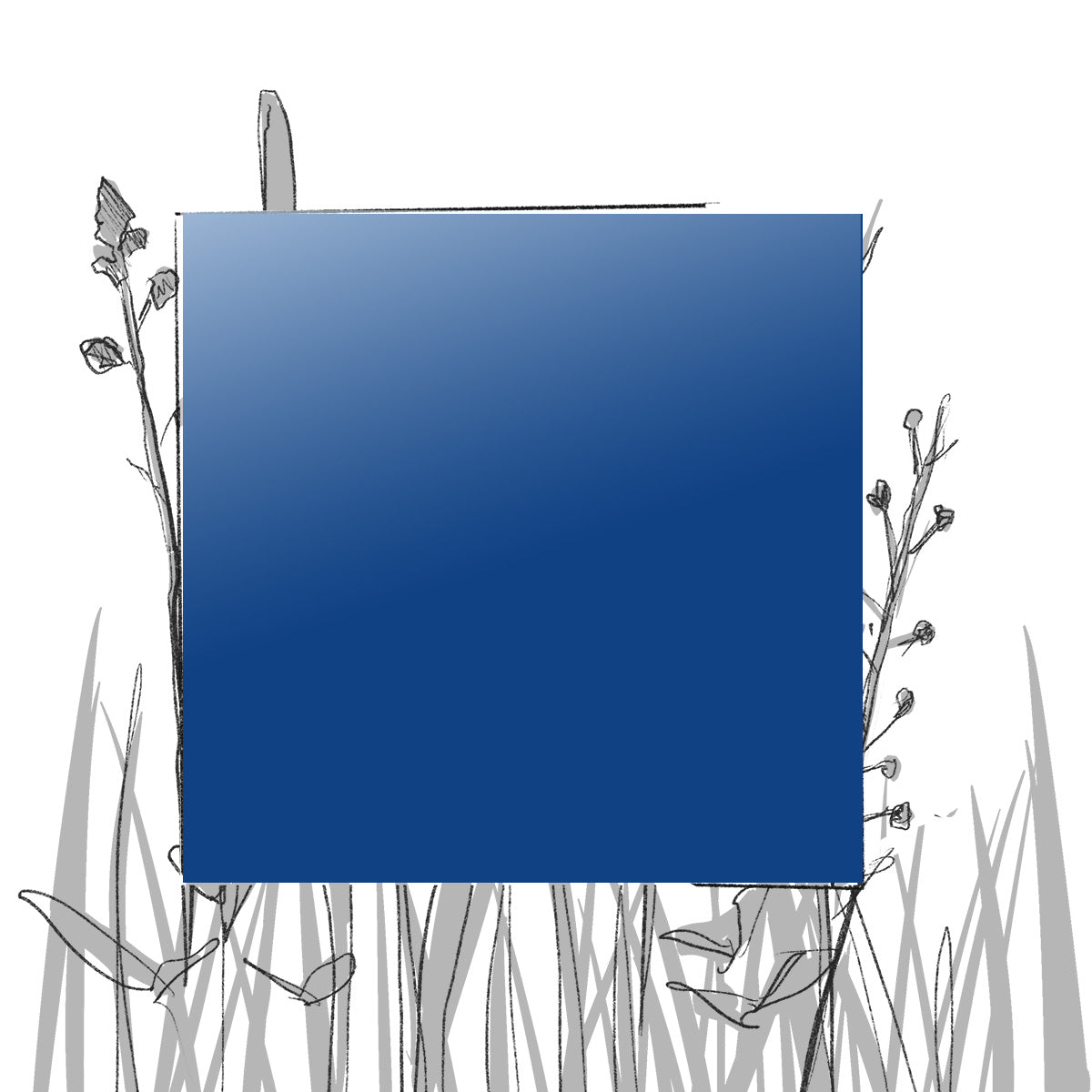 AERO FARBMUSTER (4 x 4 cm) (Pfand*)
