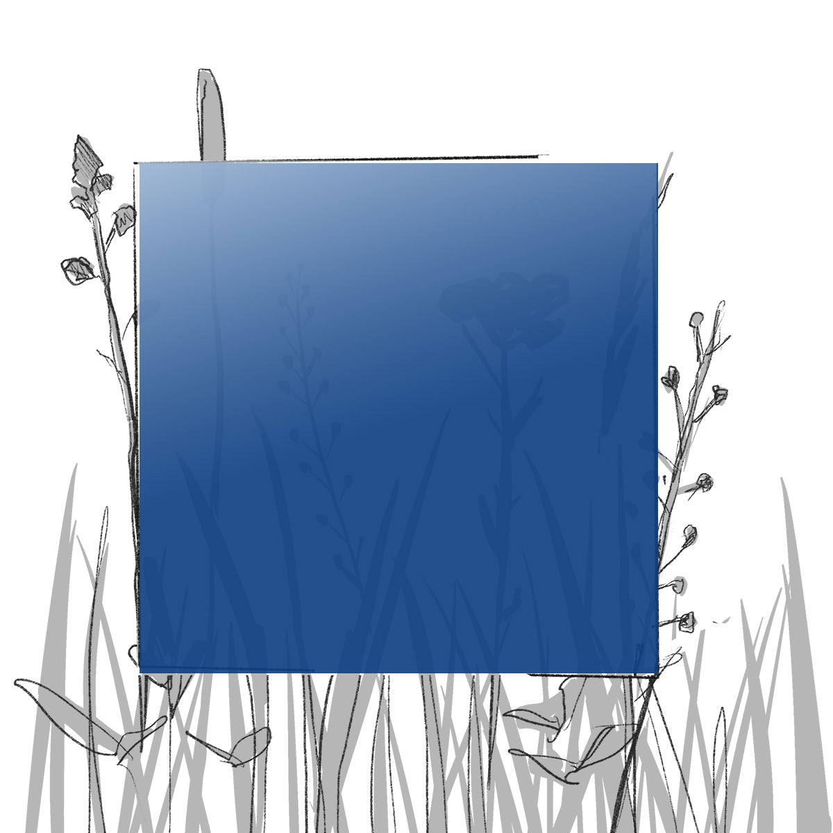 AERO FARBMUSTER (4 x 4 cm) (Pfand*)