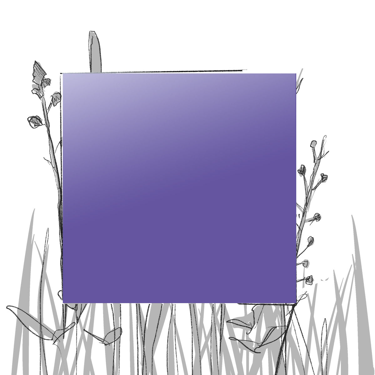 AERO FARBMUSTER (4 x 4 cm) (Pfand*)