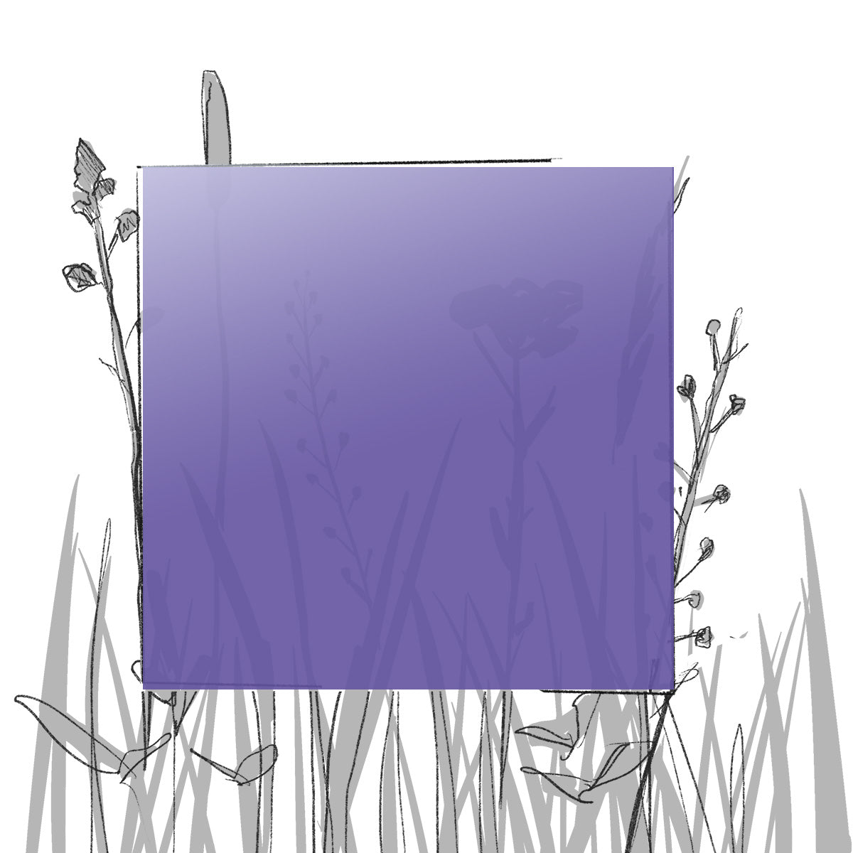 AERO FARBMUSTER (4 x 4 cm) (Pfand*)