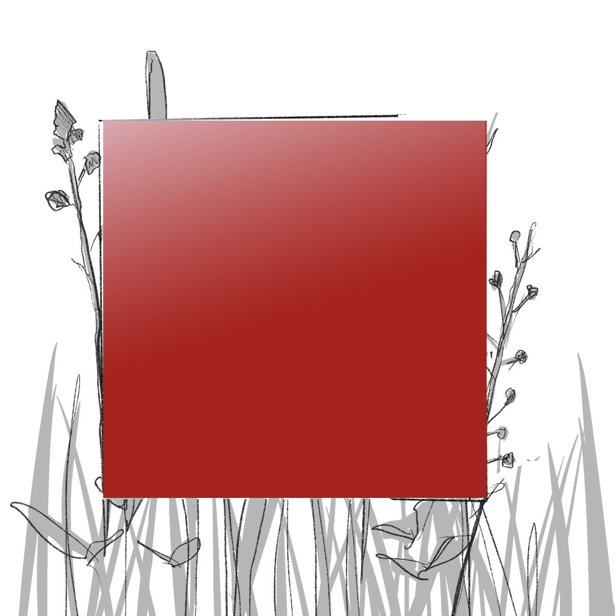 AERO FARBMUSTER (4 x 4 cm) (Pfand*)