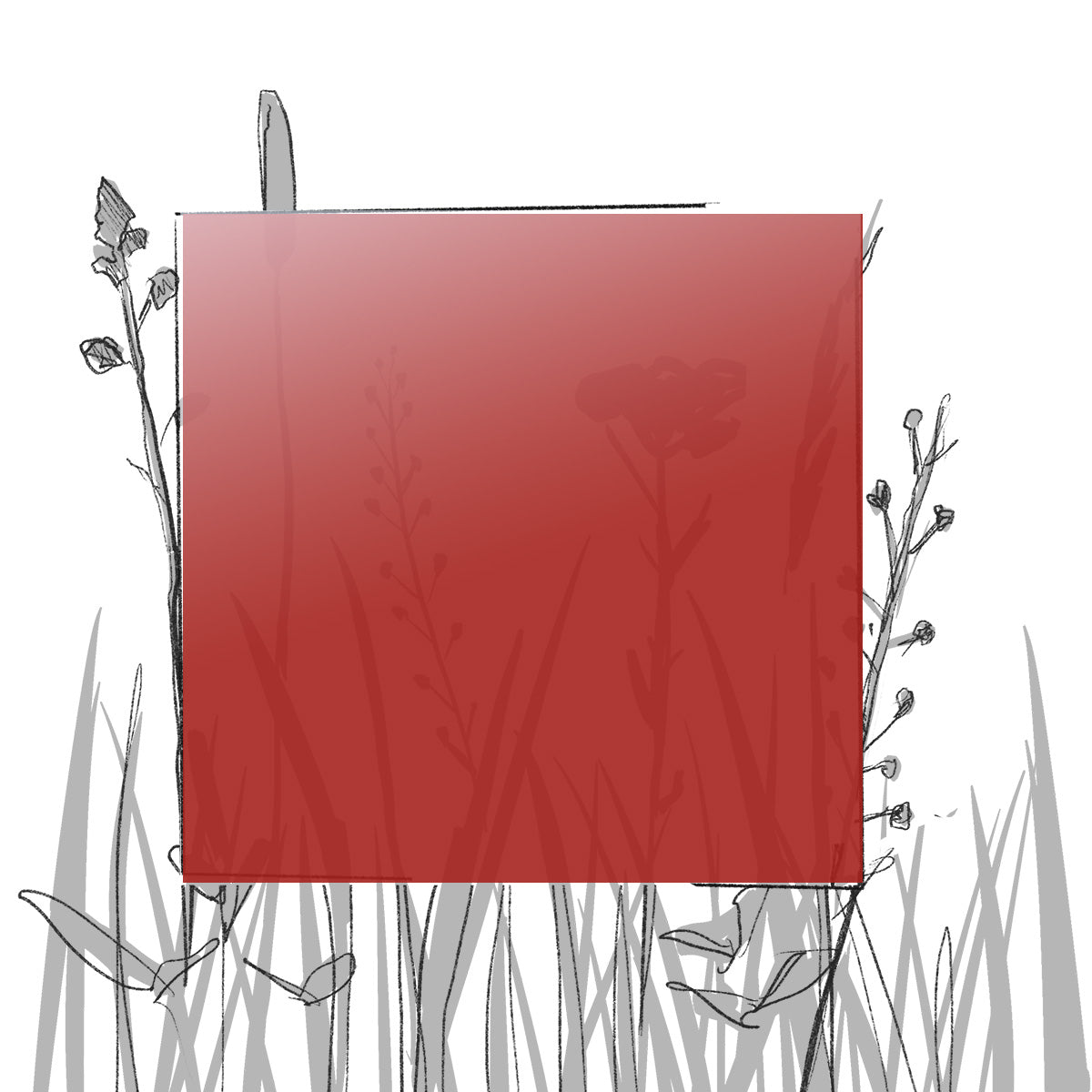 AERO FARBMUSTER (4 x 4 cm) (Pfand*)