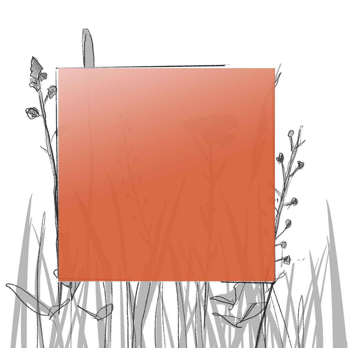 AERO FARBMUSTER (4 x 4 cm) (Pfand*)