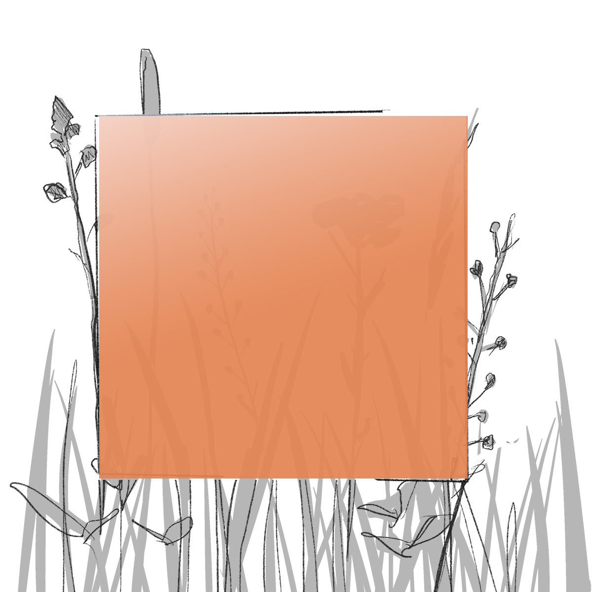 AERO FARBMUSTER (4 x 4 cm) (Pfand*)