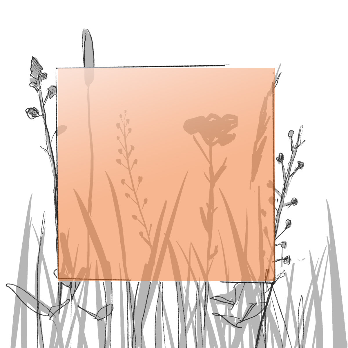 AERO FARBMUSTER (4 x 4 cm) (Pfand*)