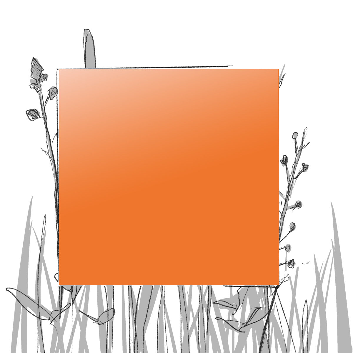 AERO FARBMUSTER (4 x 4 cm) (Pfand*)
