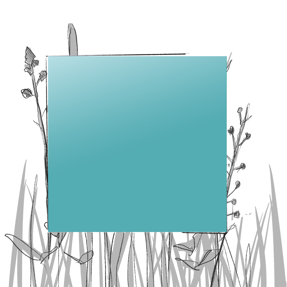 AERO FARBMUSTER (4 x 4 cm) (Pfand*)